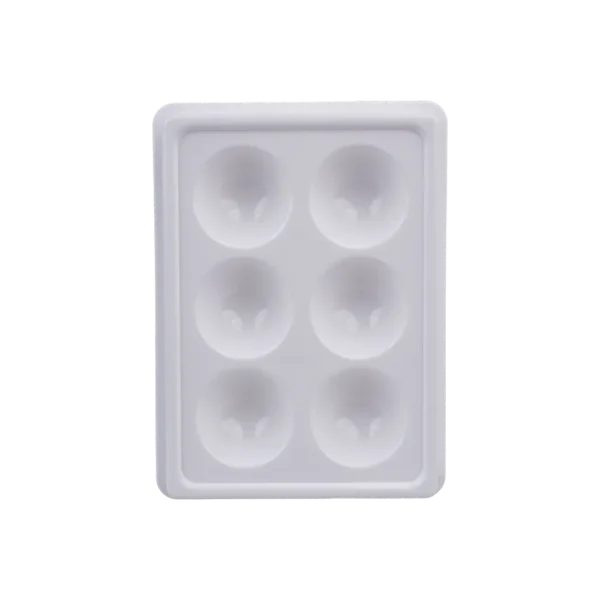 6-IN-1-FACIAL-TRAY
